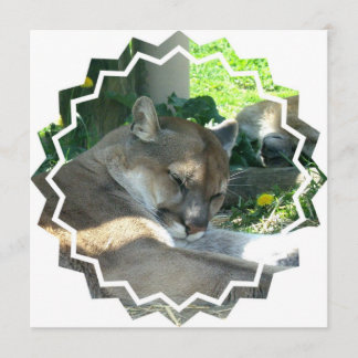 Invitación de reclinación del puma