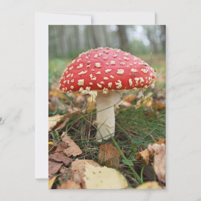 Invitación de Red Fly Agaric (Anverso)