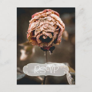 Invitación de respuesta para fiesta de divorcio co
