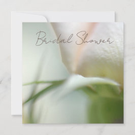 Invitación de Rosa suave