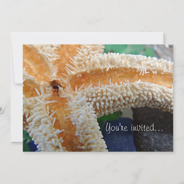 Invitación de Starfish & Sea Glass (Anverso)