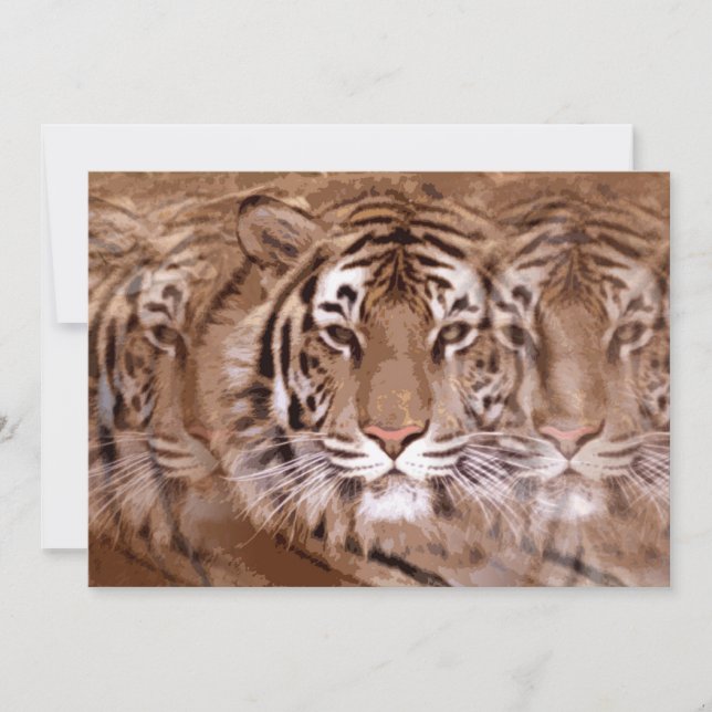 Invitación de tigres (Anverso)