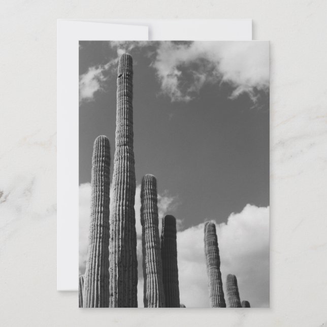 Invitación de tubos de órganos (desierto sonoro de (Anverso)