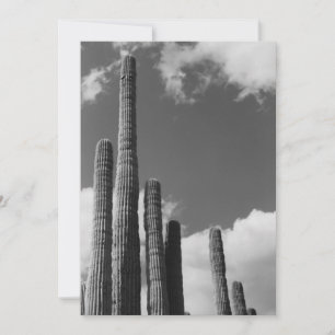 Invitación de tubos de órganos (desierto sonoro de