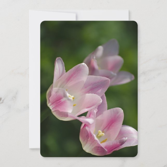 Invitación de tulipanes rosados (Anverso)