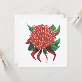 Invitación de Waratah dibujada a mano con flores
