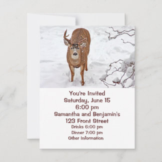 Invitación Deer Buck en nieve invernal