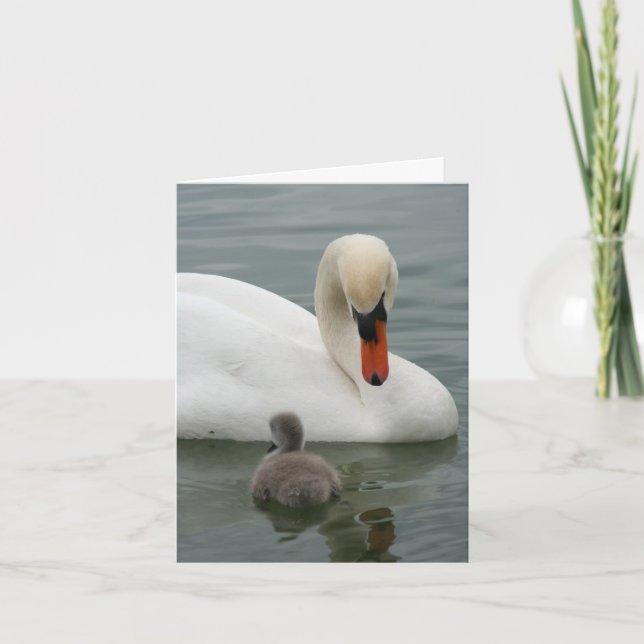 Invitación del bebé de Swan (Anverso)