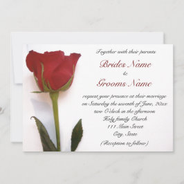 Invitación del boda del rosa rojo