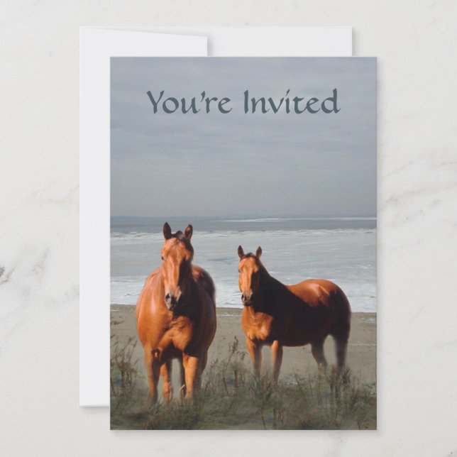 Invitación del caballo de la playa (Anverso)
