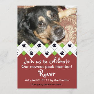 Invitación del fiesta de la adopción del perro/del