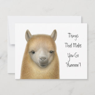 Invitación del fiesta de la alpaca