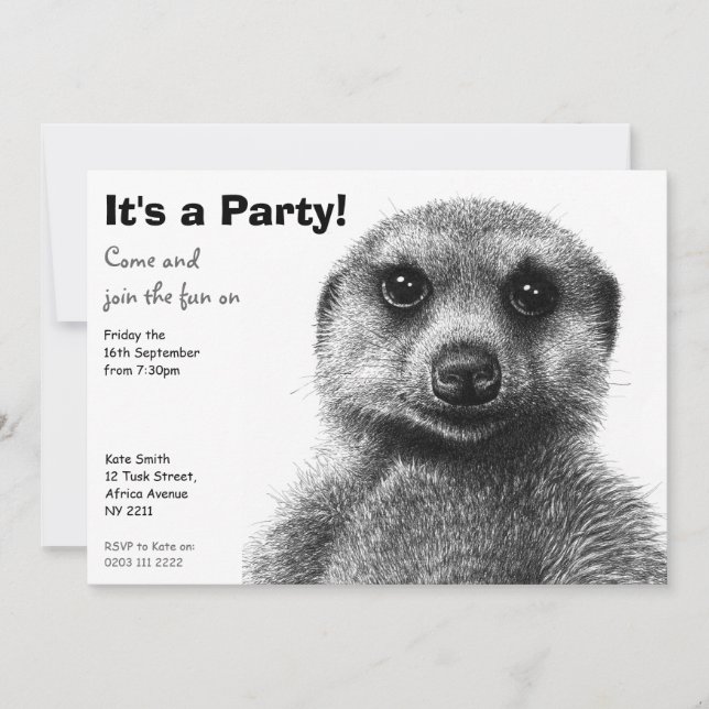 Invitación del fiesta de Meerkat (Anverso)