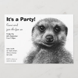Invitación del fiesta de Meerkat