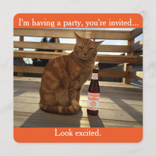 Invitación del fiesta que ofrece un gato