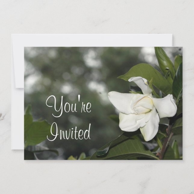 Invitación del fondo del Gardenia (Anverso)