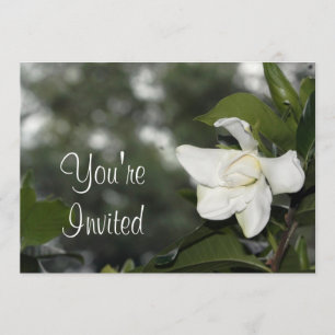 Invitación del fondo del Gardenia