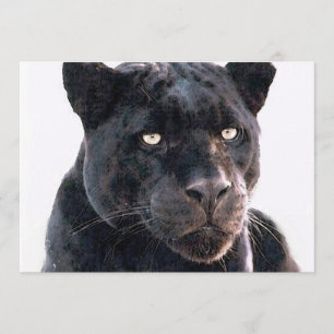 Invitación del jaguar negro