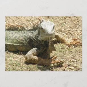 Invitación del lagarto de la iguana