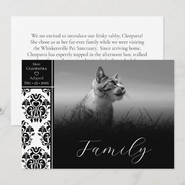 Invitación del Mascota de Damasco blanco y negro (Anverso / Reverso)