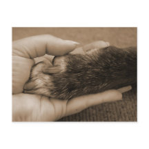 Invitación del nuevo miembro de la familia