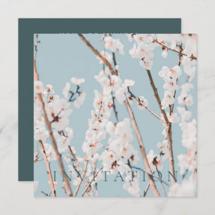 INVITACIÓN DEL PARTIDO DE COMPROMISO: PLUM BLOSSOM