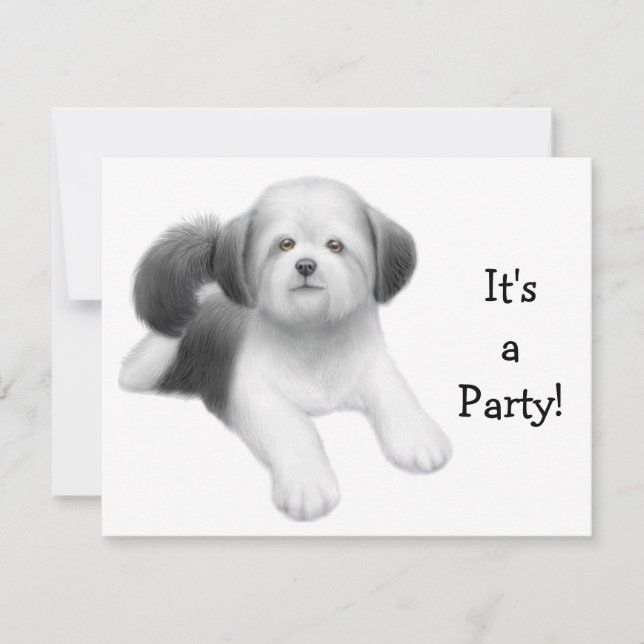Invitación del perro de Shih Tzu (Anverso)