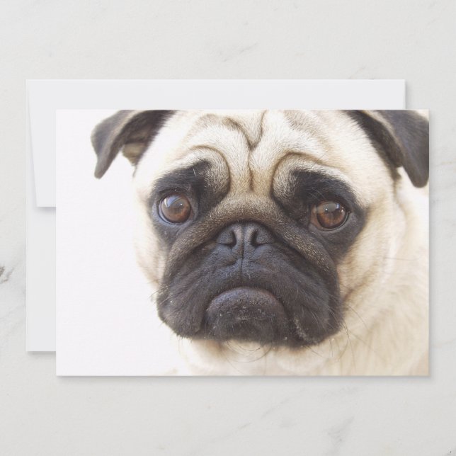 Invitación del perro del barro amasado (Anverso)