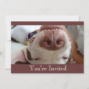 Invitación del perro feliz