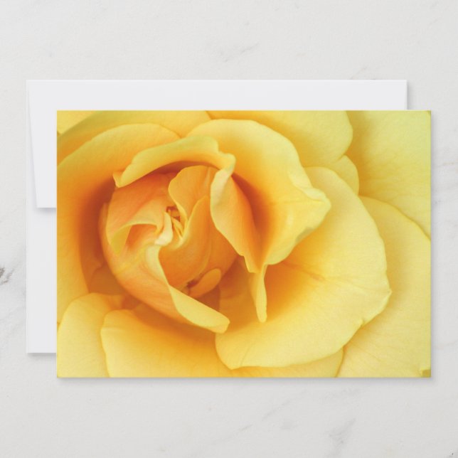 Invitación del rosa amarillo (Anverso)