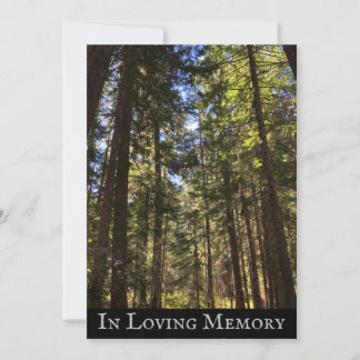 Invitación del Servicio Memorial de Bosques