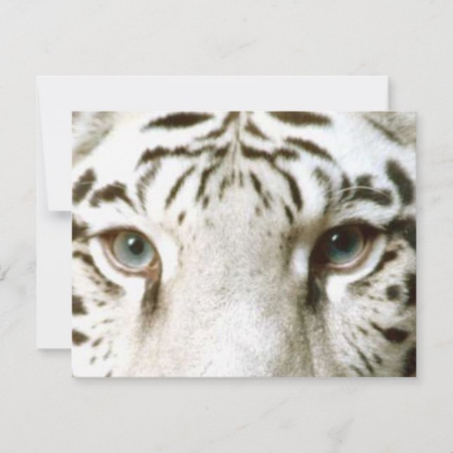 Invitación del Tigre Blanco Feng Shui ~ Personaliz (Anverso)