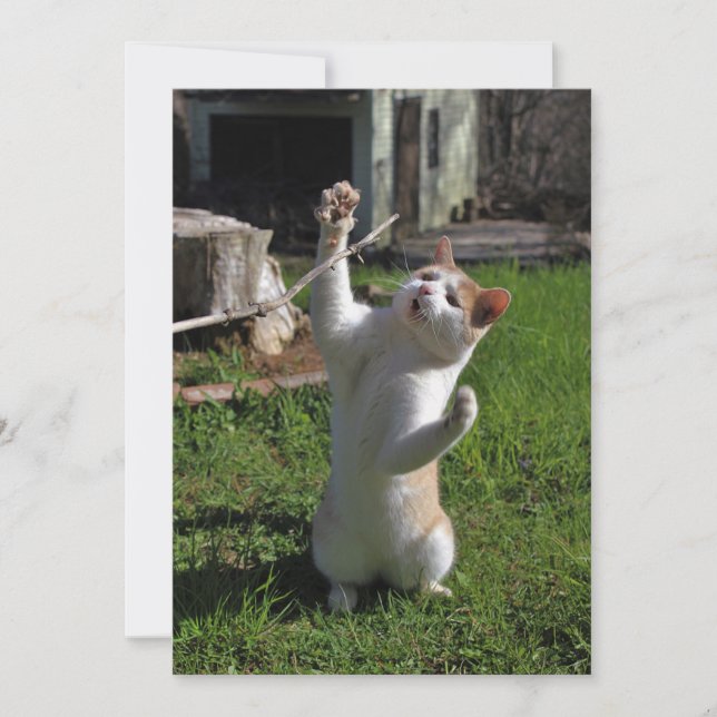 Invitación Depredador feroz (Anverso)