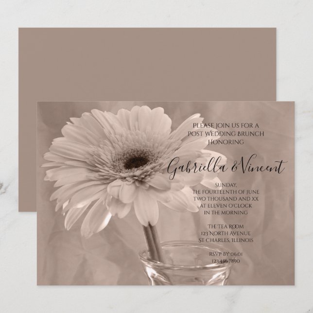 Invitación Desayuno Brunch de Margaritas con Tinte Rosa Pálid (Anverso / Reverso)