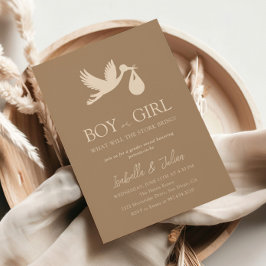 Invitación Descubrimiento de sexo de niño/a bebé/a Chica