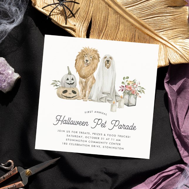 Invitación Desfile Mascota de Halloween (Subido por el creador)