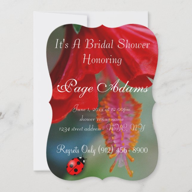 Invitación Destino nupcial de la ducha de la mariquita (Anverso)