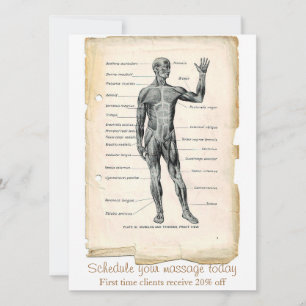 Invitación Dibujo Antiguo de Anatomía Anterior