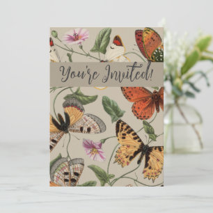 Invitación Dibujo de la Colección de Mariposas y Polillas de