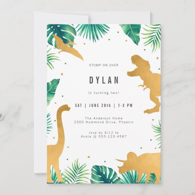 Invitación Dinosaur Kids Birthday Party Invitation (Anverso)