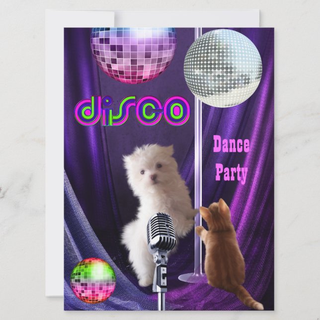 Invitación Disco Fiesta Perro Gato Maltés Cachorro (Anverso)