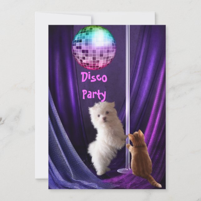 Invitación Disco Fiesta Perro Gato Maltés Cachorro (Anverso)
