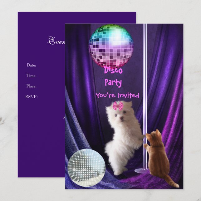 Invitación Disco Fiesta Perro Gato Maltés Cachorro (Anverso / Reverso)