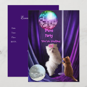 Invitación Disco Fiesta Perro Gato Perro Maltés Ca