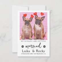 Invitación Divertida a la Boda de un Perro
