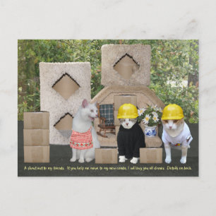 Invitación divertida a un gato para ayudar a mover