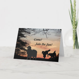 Invitación divertida de perro de Terranova