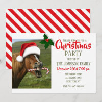 Divertido caballo de Navidades con sombrero Santa