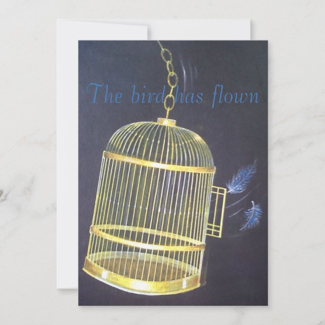 Invitación Divorcio Fiesta divertido personalizado (Anverso)