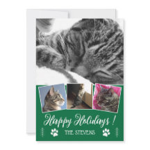 DIY Cat Collage de fotos Green Holiday Flat Card